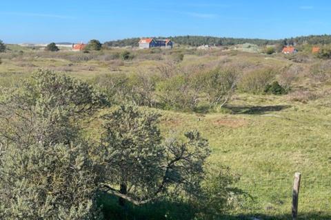 Engelse Veld Villa Bergen aan Zee Exteriör bild